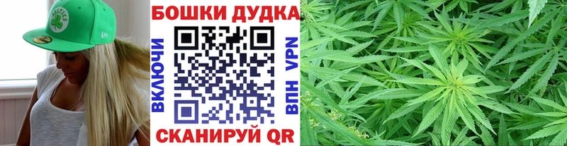 магазин  наркотиков  Беломорск  Каннабис индика 